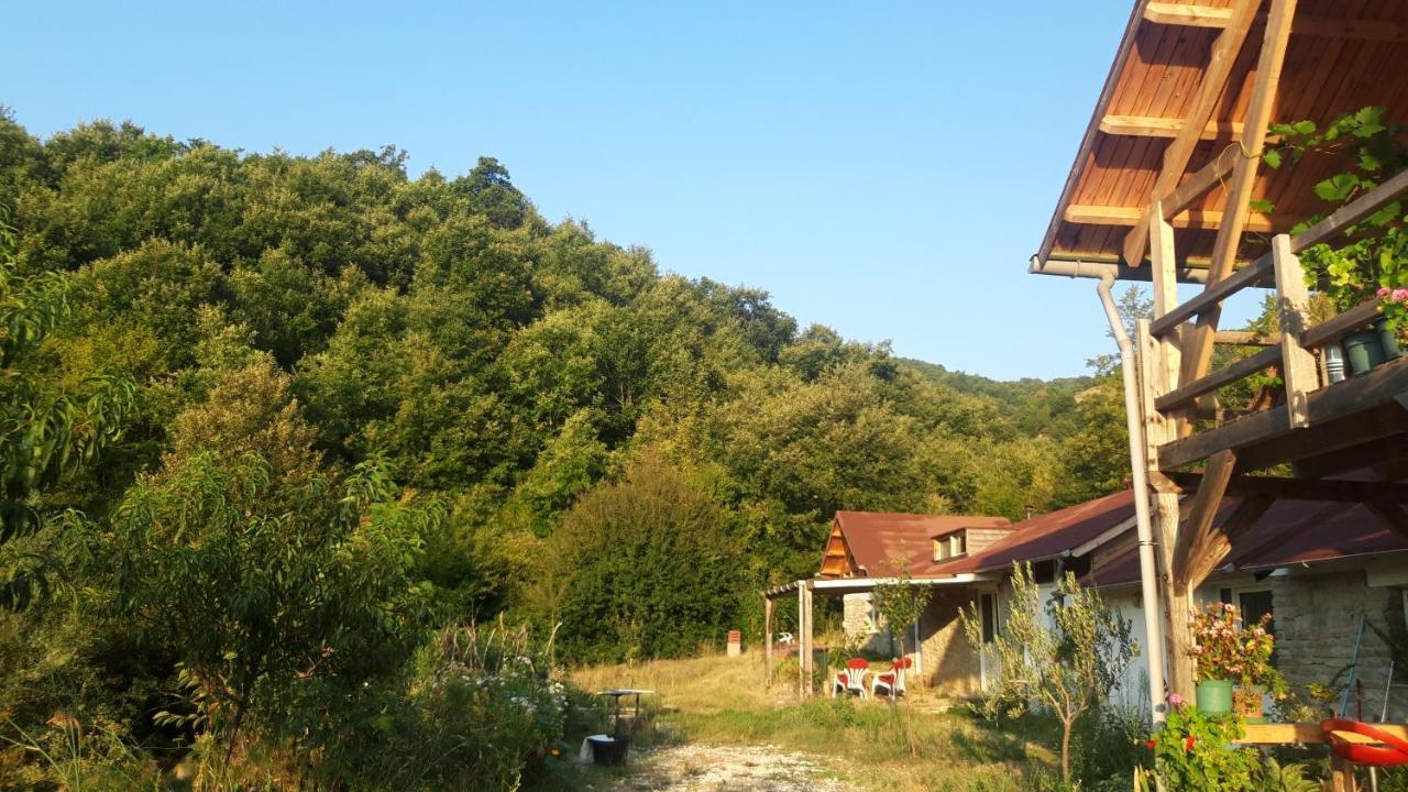 Ferma Albanik Kelcyre Exterior foto