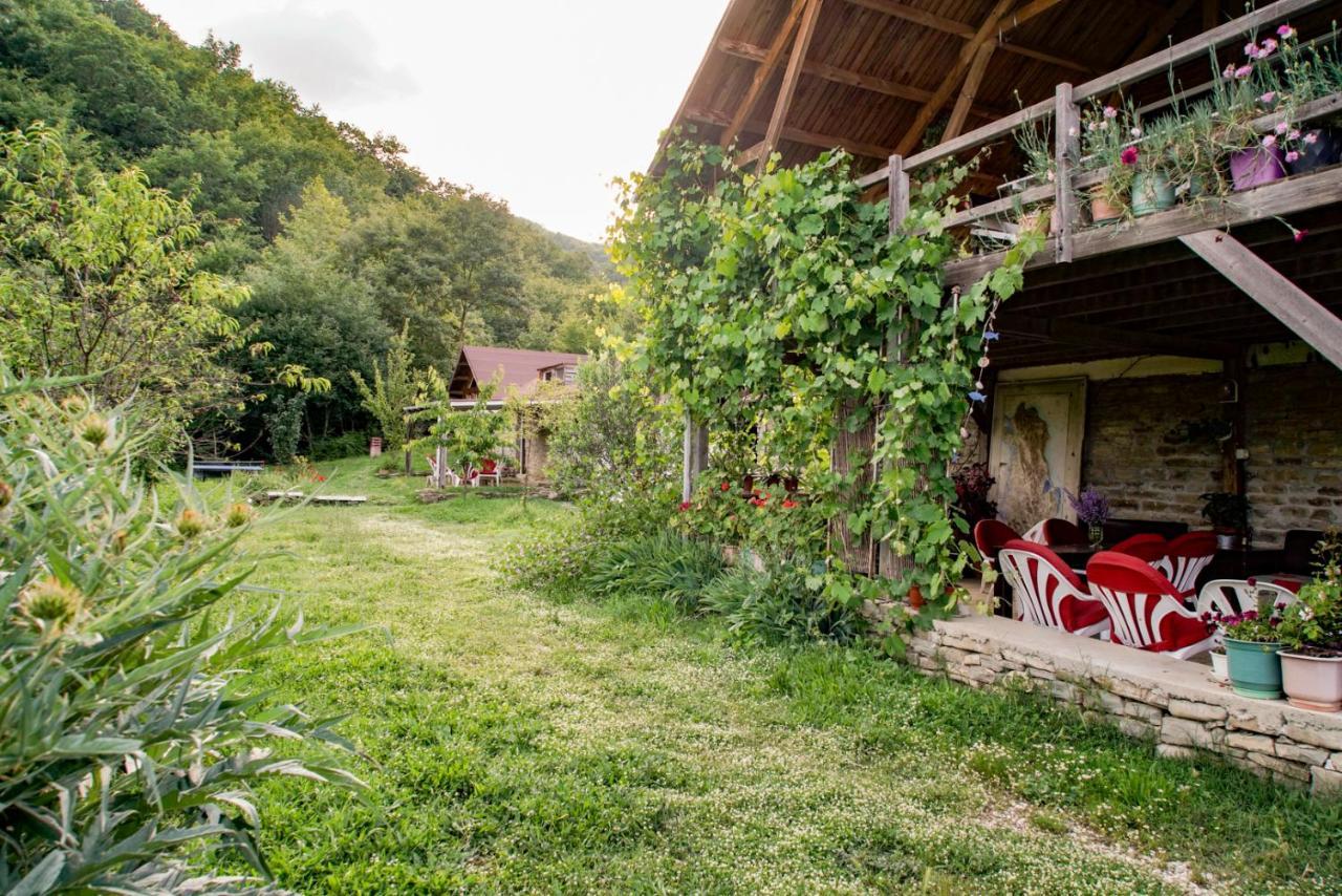 Ferma Albanik Kelcyre Exterior foto